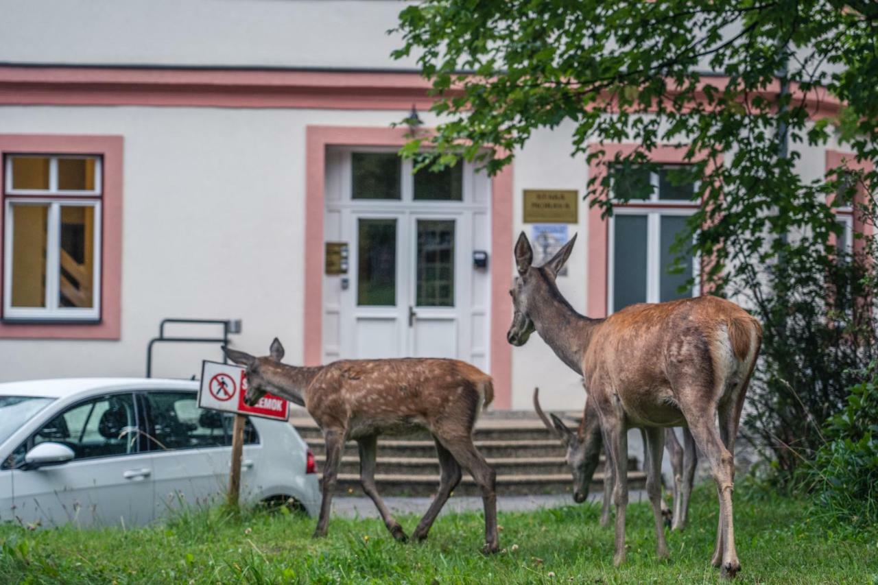 Tatrystay Apartmany Lomnica Tatrzańska Łomnica Zewnętrze zdjęcie