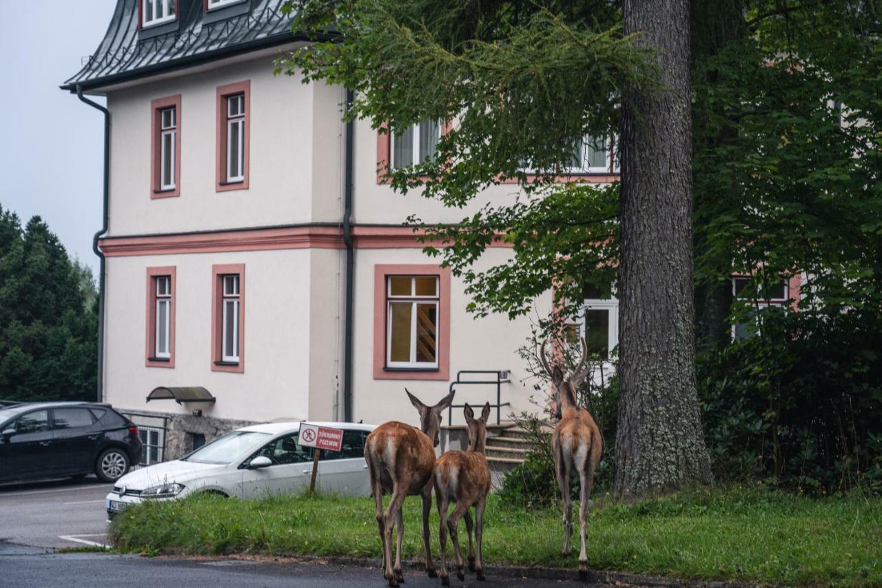 Tatrystay Apartmany Lomnica Tatrzańska Łomnica Zewnętrze zdjęcie